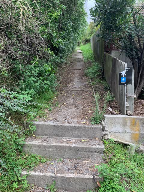 Roading/Streets, a report photo