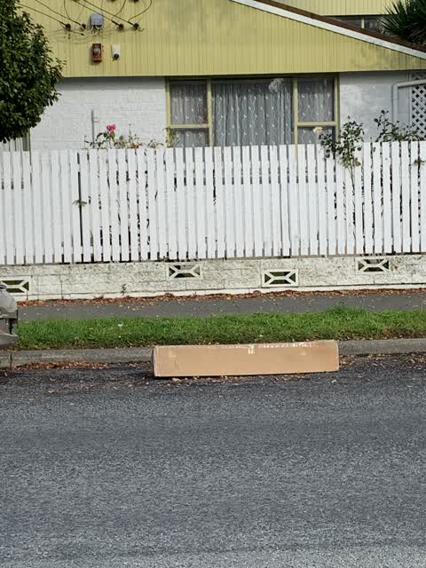 Rubbish/Recycling, a report photo