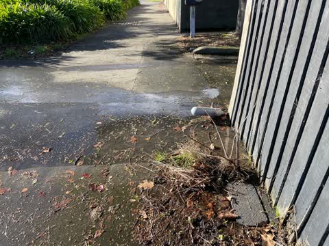 Water Leak — a report photo