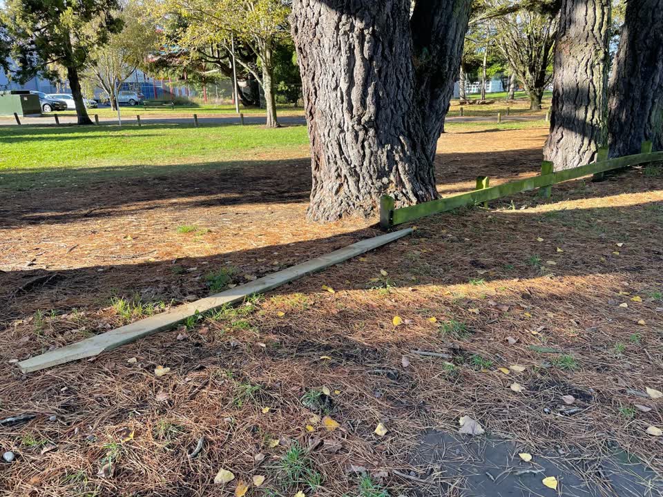 The photograph attached to this parks report