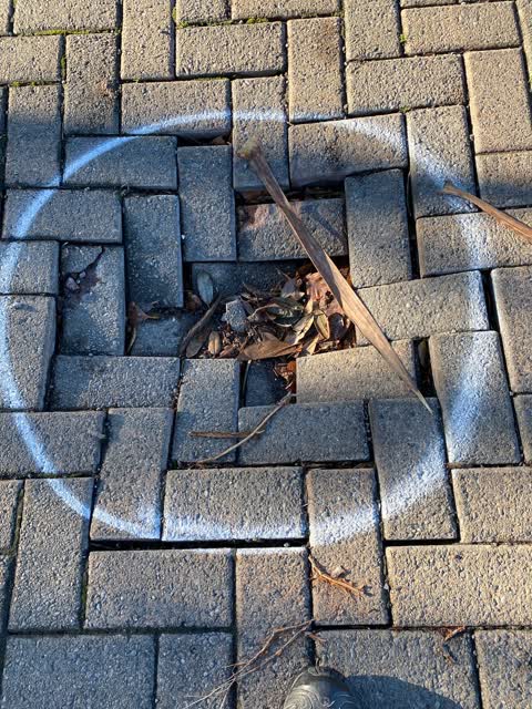 Roading/Streets, a report photo