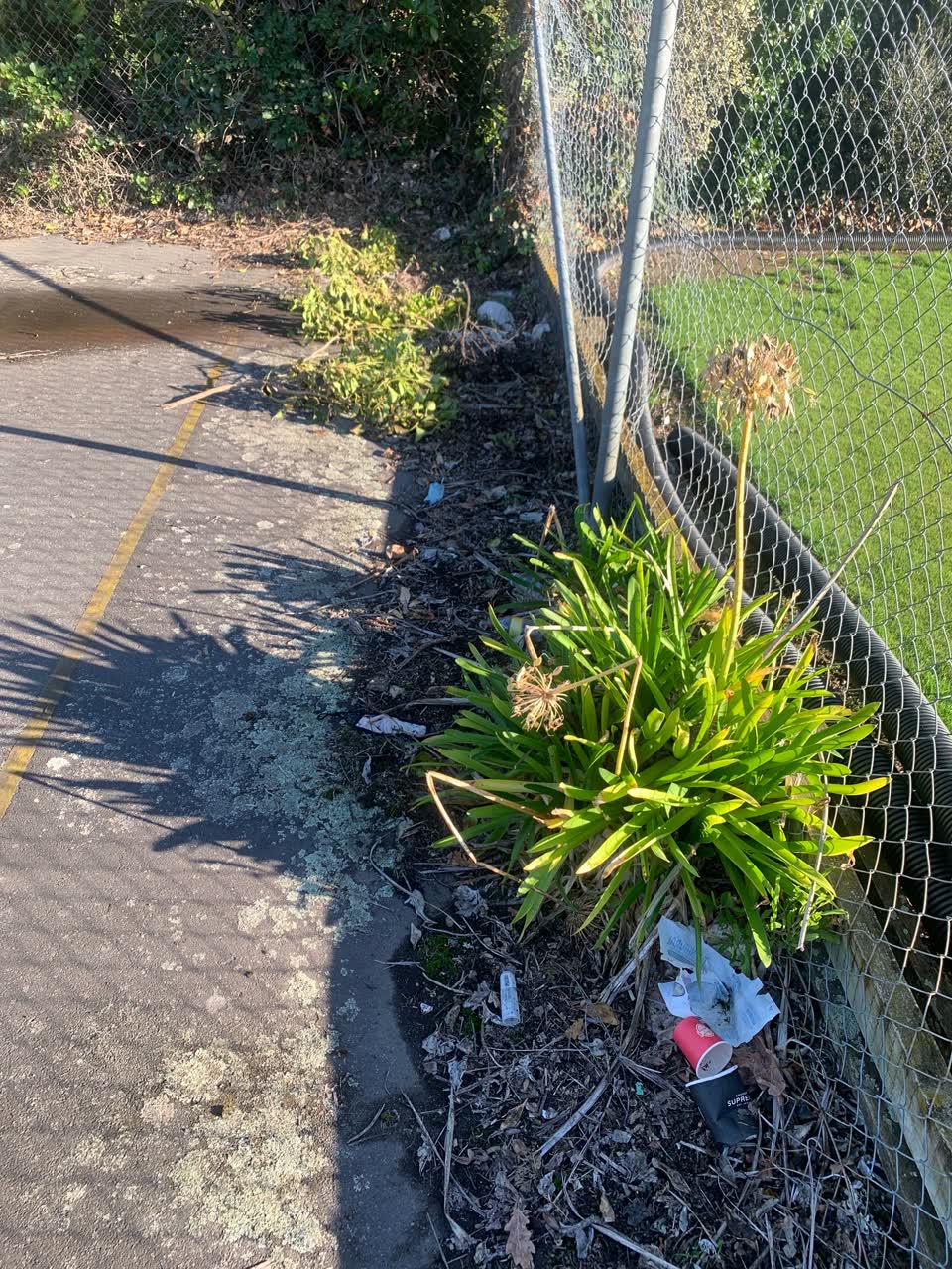 The photograph attached to this parks report