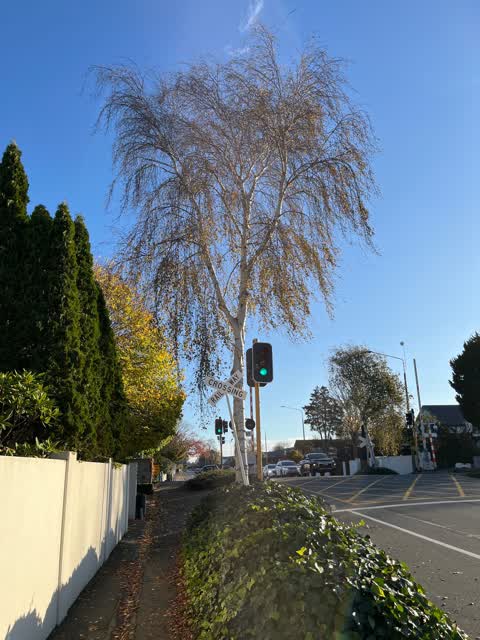 Roading/Streets, a report photo