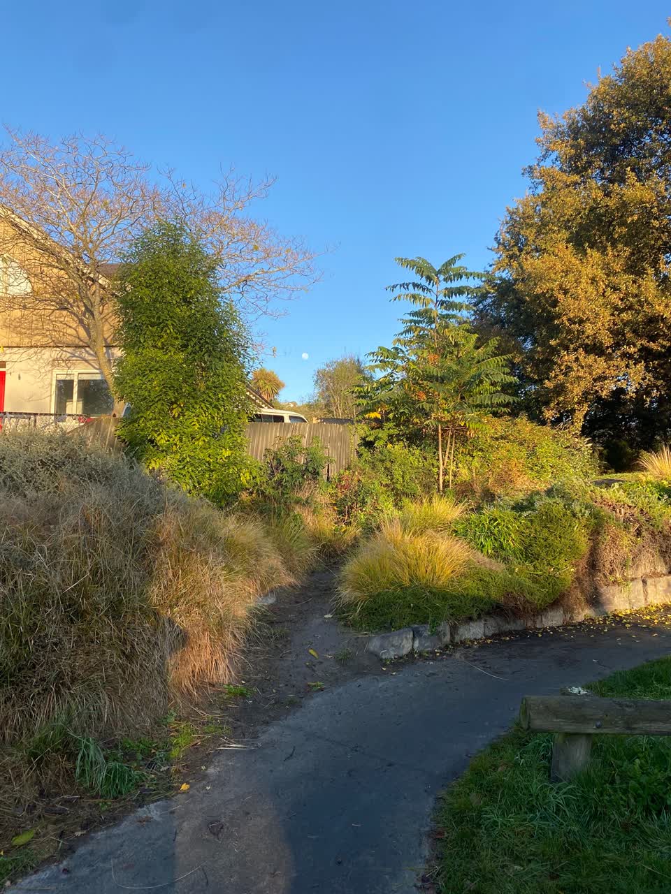 The photograph attached to this parks report