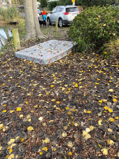 Rubbish/Recycling, a report photo