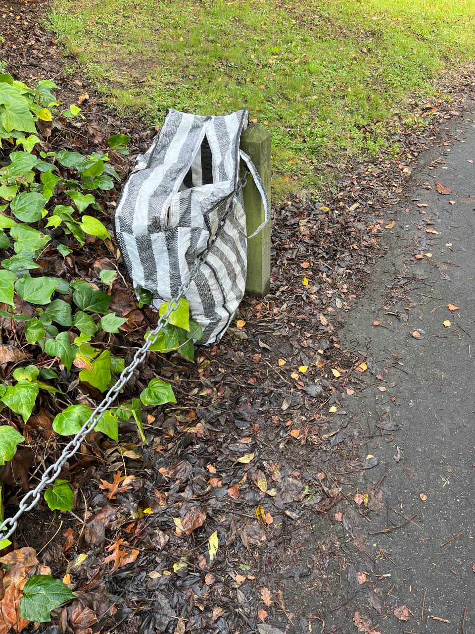 The photograph attached to this rubbish/recycling report