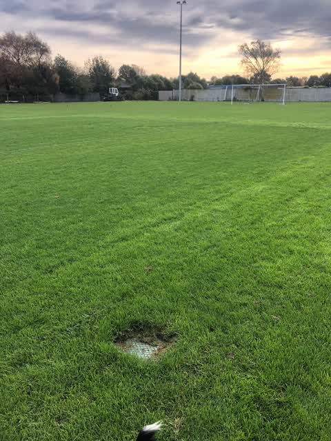 Parks, a report photo