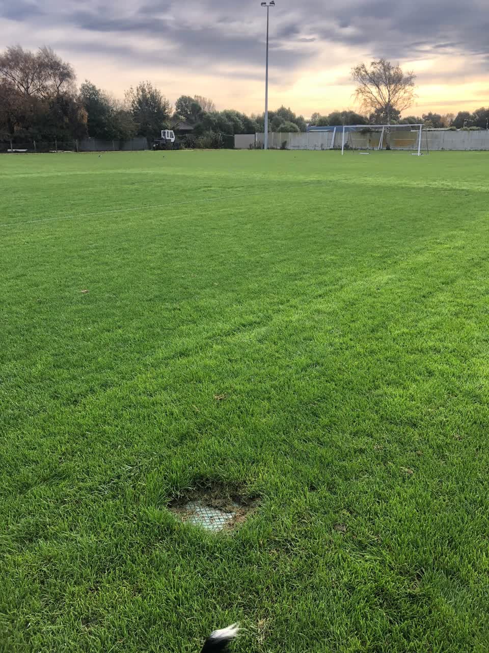 The photograph attached to this parks report