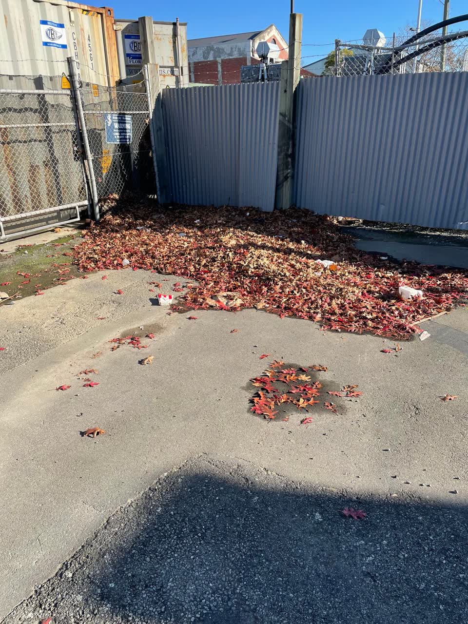 The photograph attached to this rubbish/recycling report