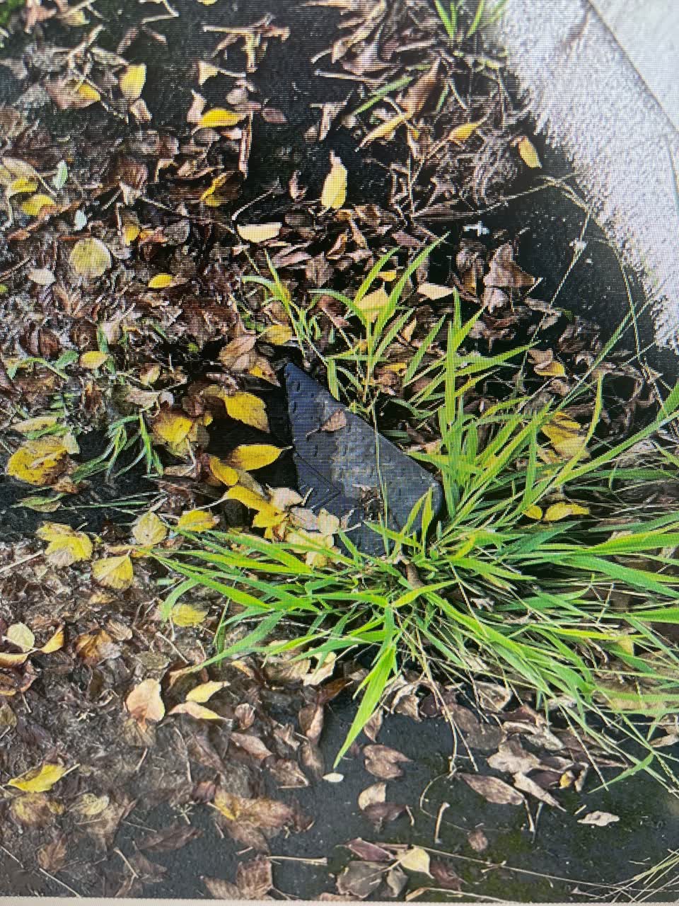 The photograph attached to this water leak report