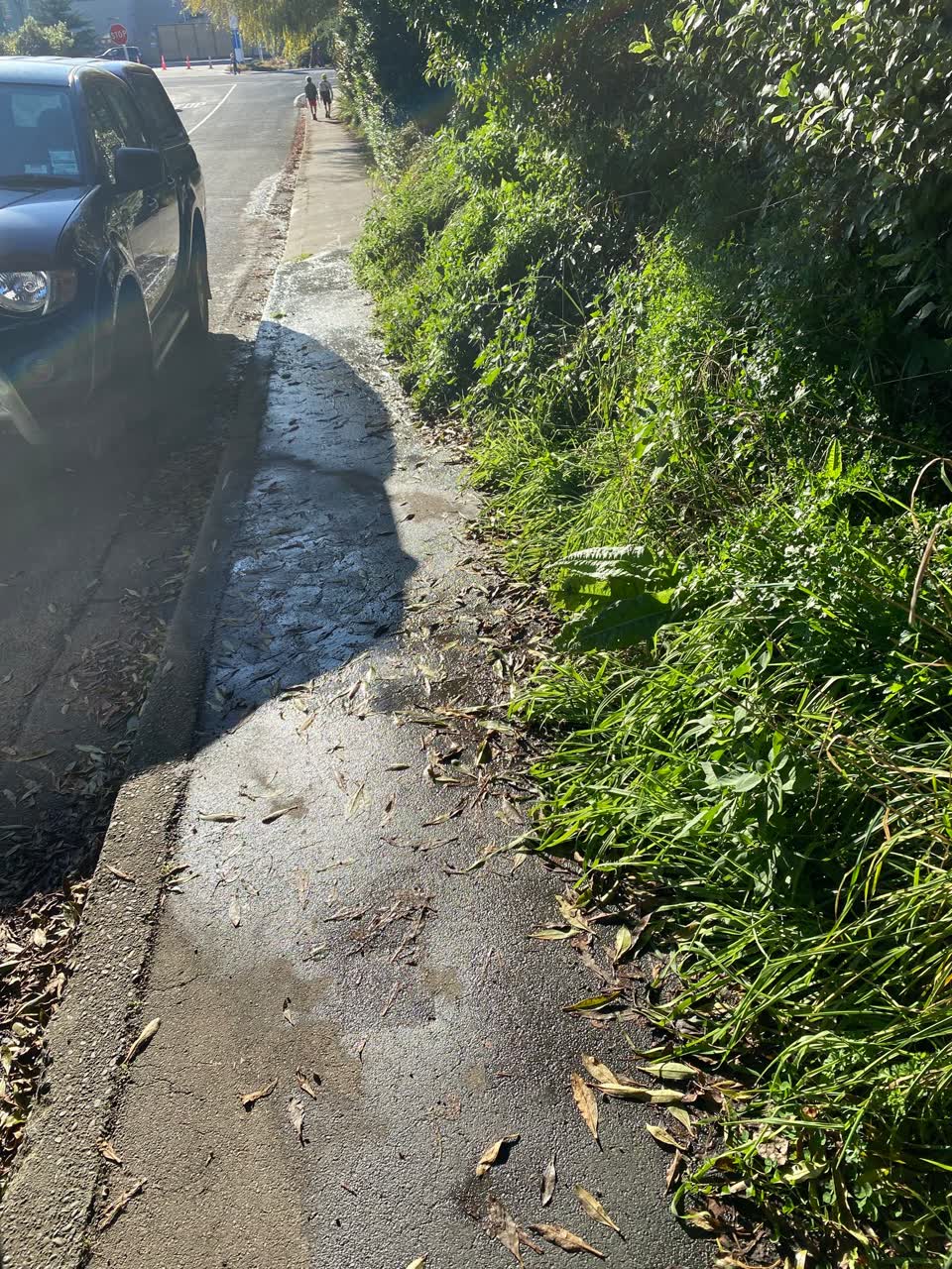 The photograph attached to this sewer odour report