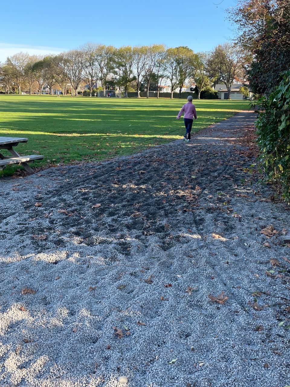 The photograph attached to this parks report