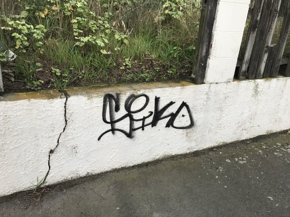 The photograph attached to this graffiti report