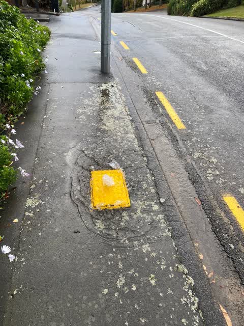 Water Leak, a report photo