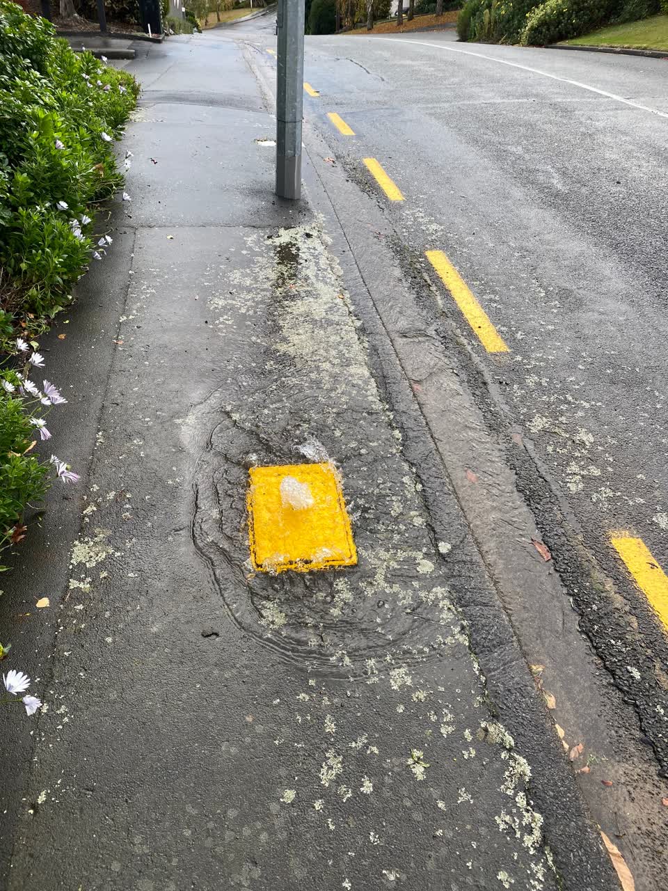 The photograph attached to this water leak report