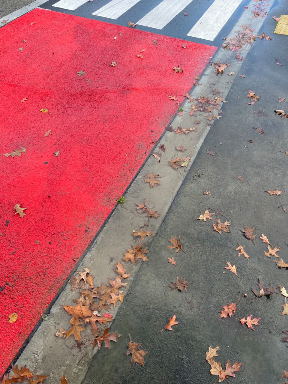 The photograph attached to this water leak report