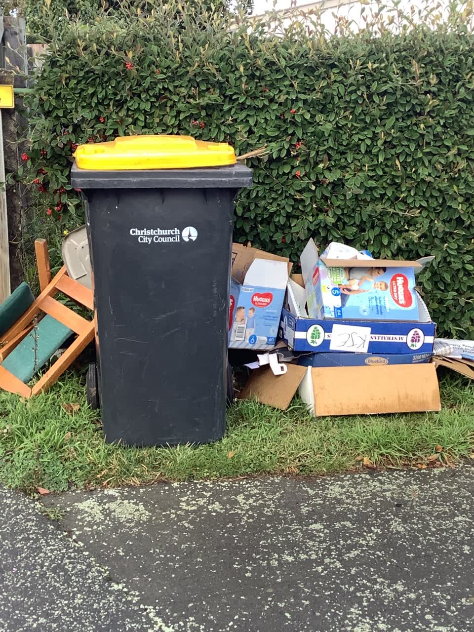 The photograph attached to this rubbish/recycling report