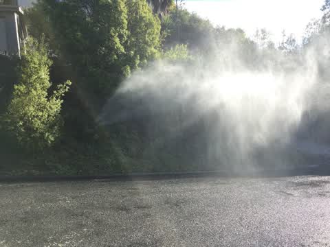 Water Leak, a report photo