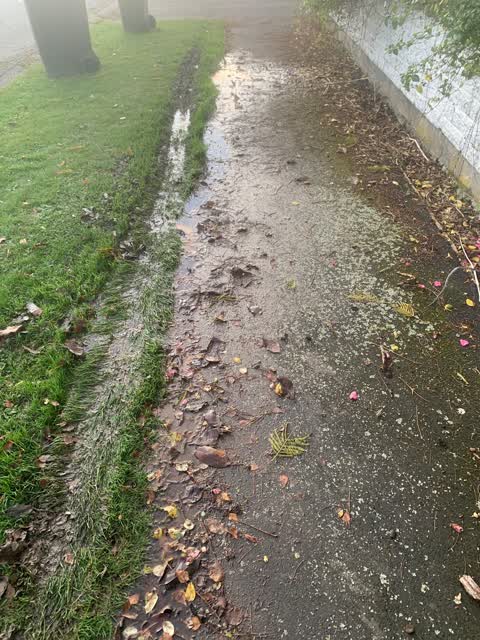 Water Leak, a report photo