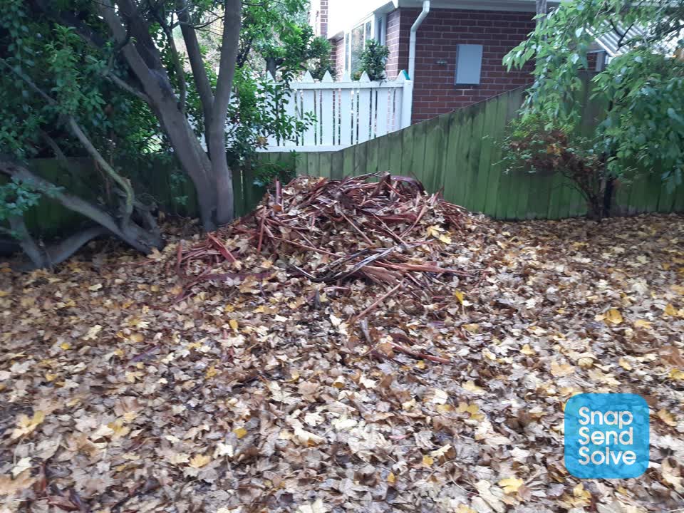 The photograph attached to this rubbish/recycling report