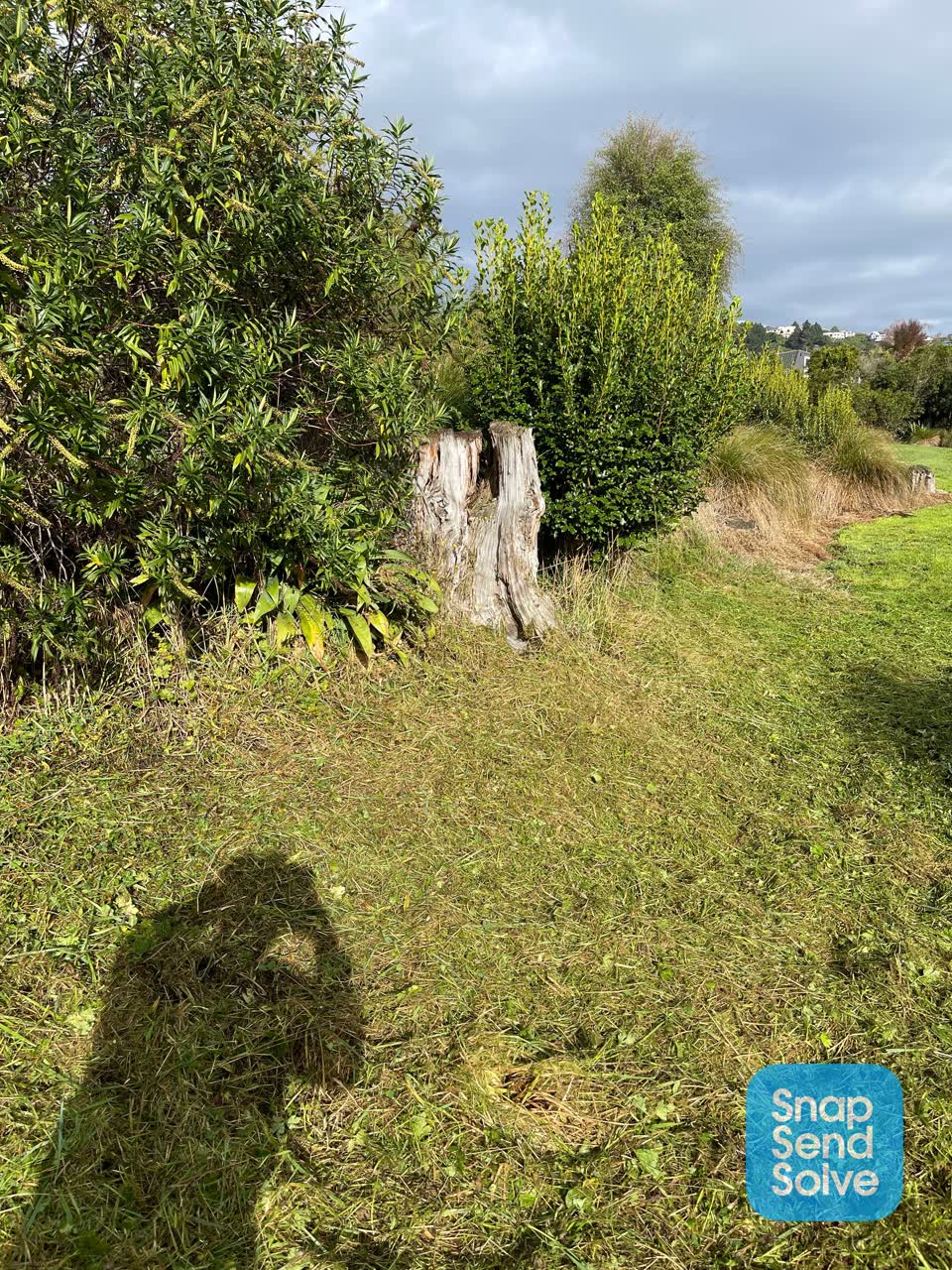 The photograph attached to this parks report