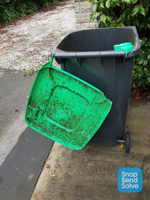 Rubbish/Recycling, a report photo