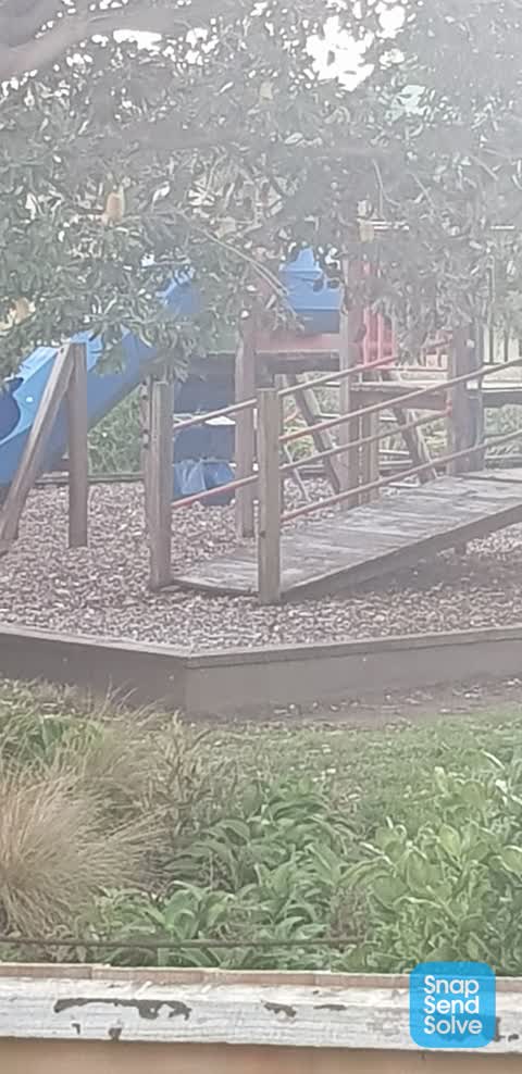 Parks, a report photo