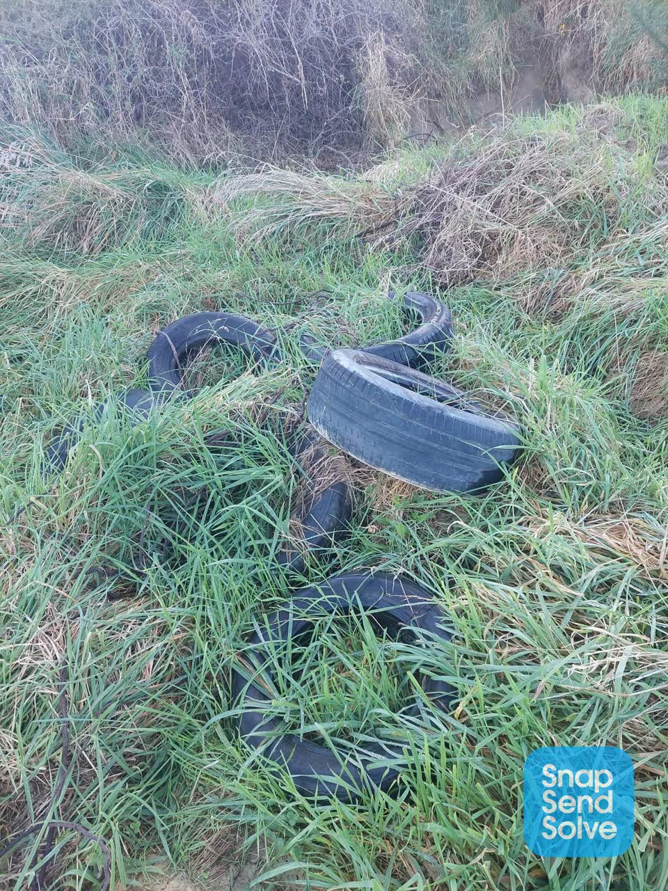 The photograph attached to this rubbish/recycling report