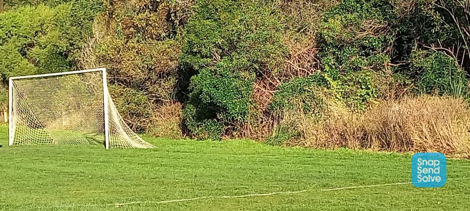 The photograph attached to this parks report