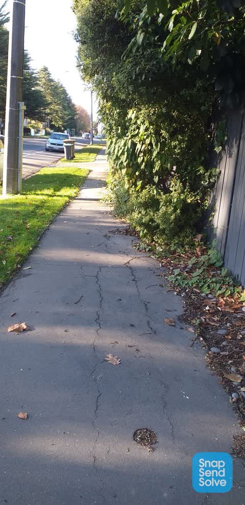 Roading/Streets — a report photo
