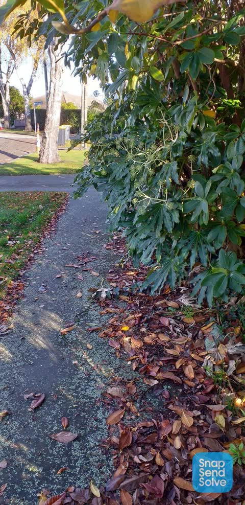 Roading/Streets, a report photo