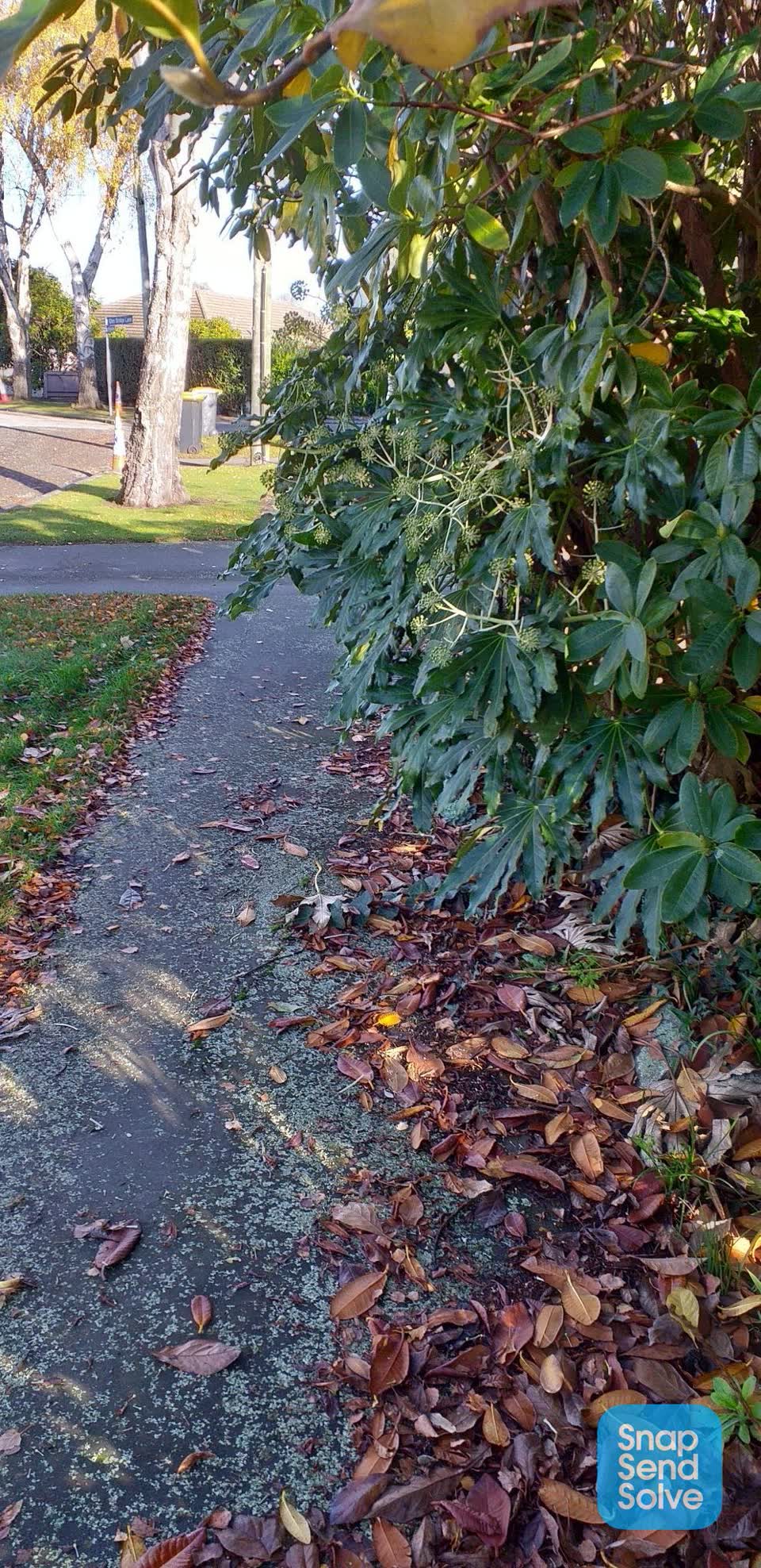 The photograph attached to this roading/streets report