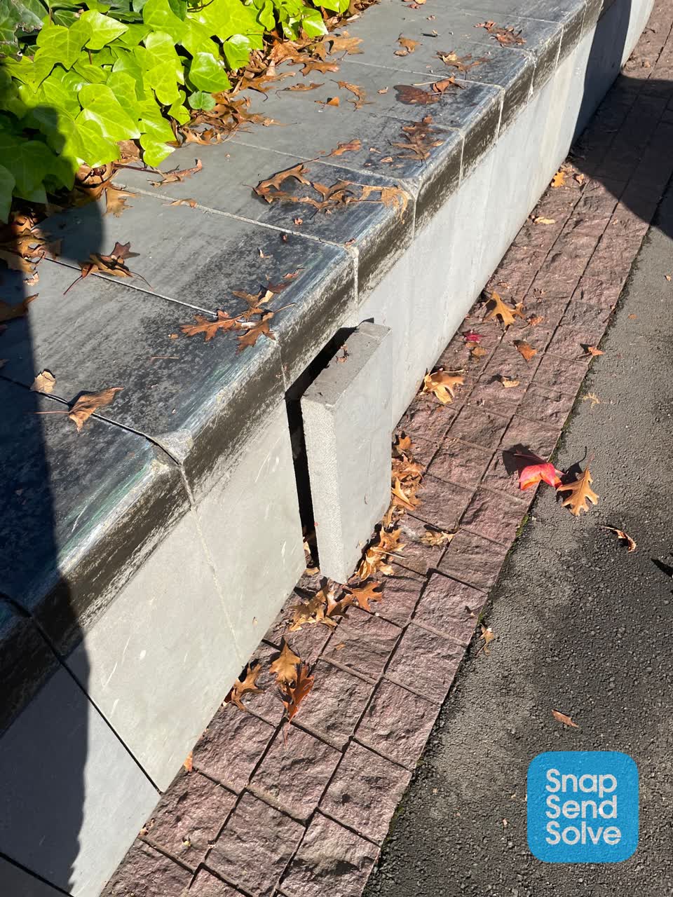 The photograph attached to this parks report