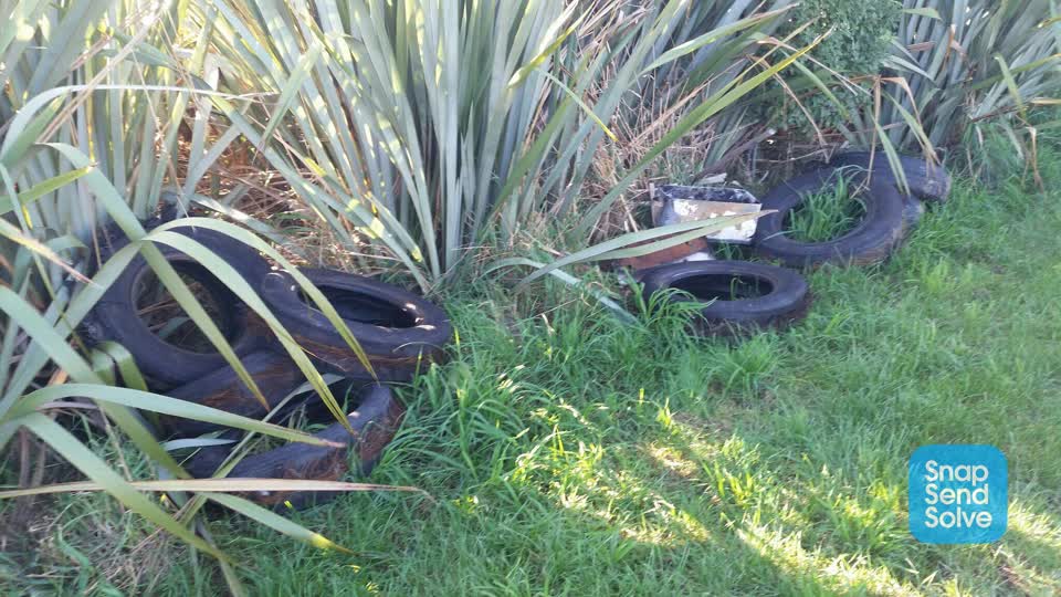 The photograph attached to this rubbish/recycling report