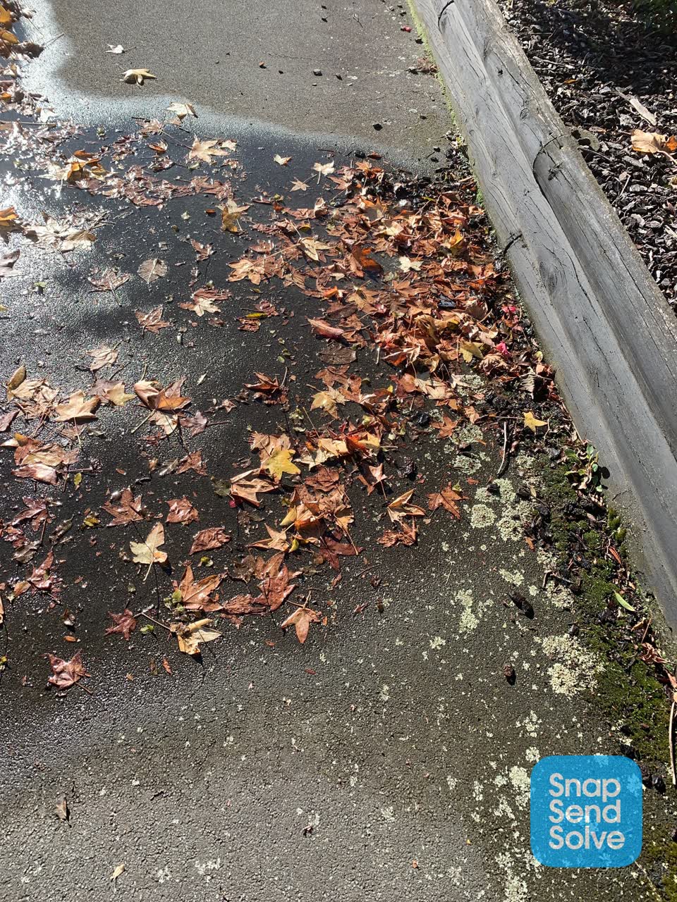 The photograph attached to this water leak report