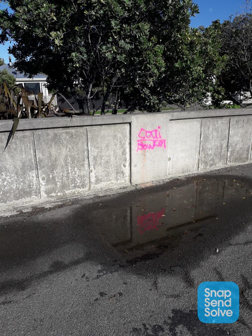 The photograph attached to this graffiti report