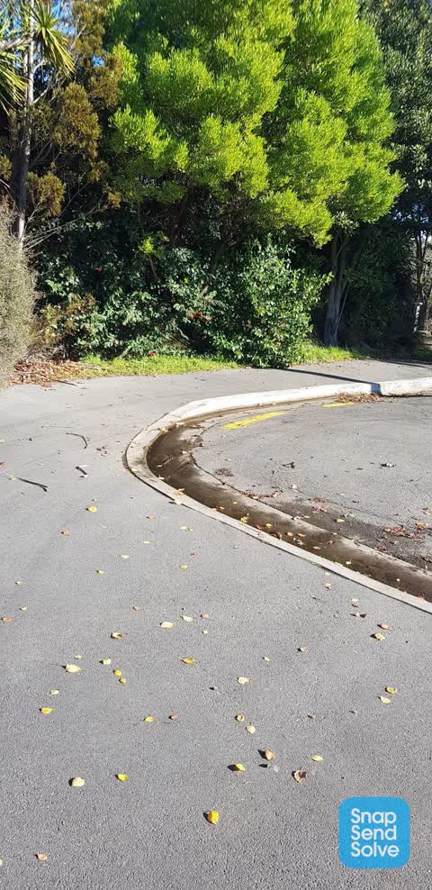 Roading/Streets, a report photo