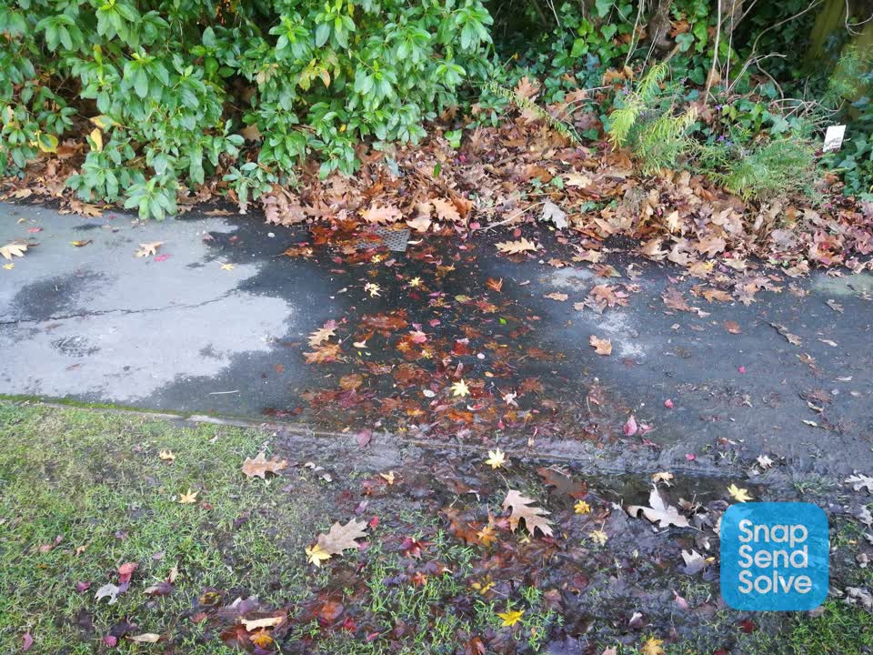 The photograph attached to this water leak report