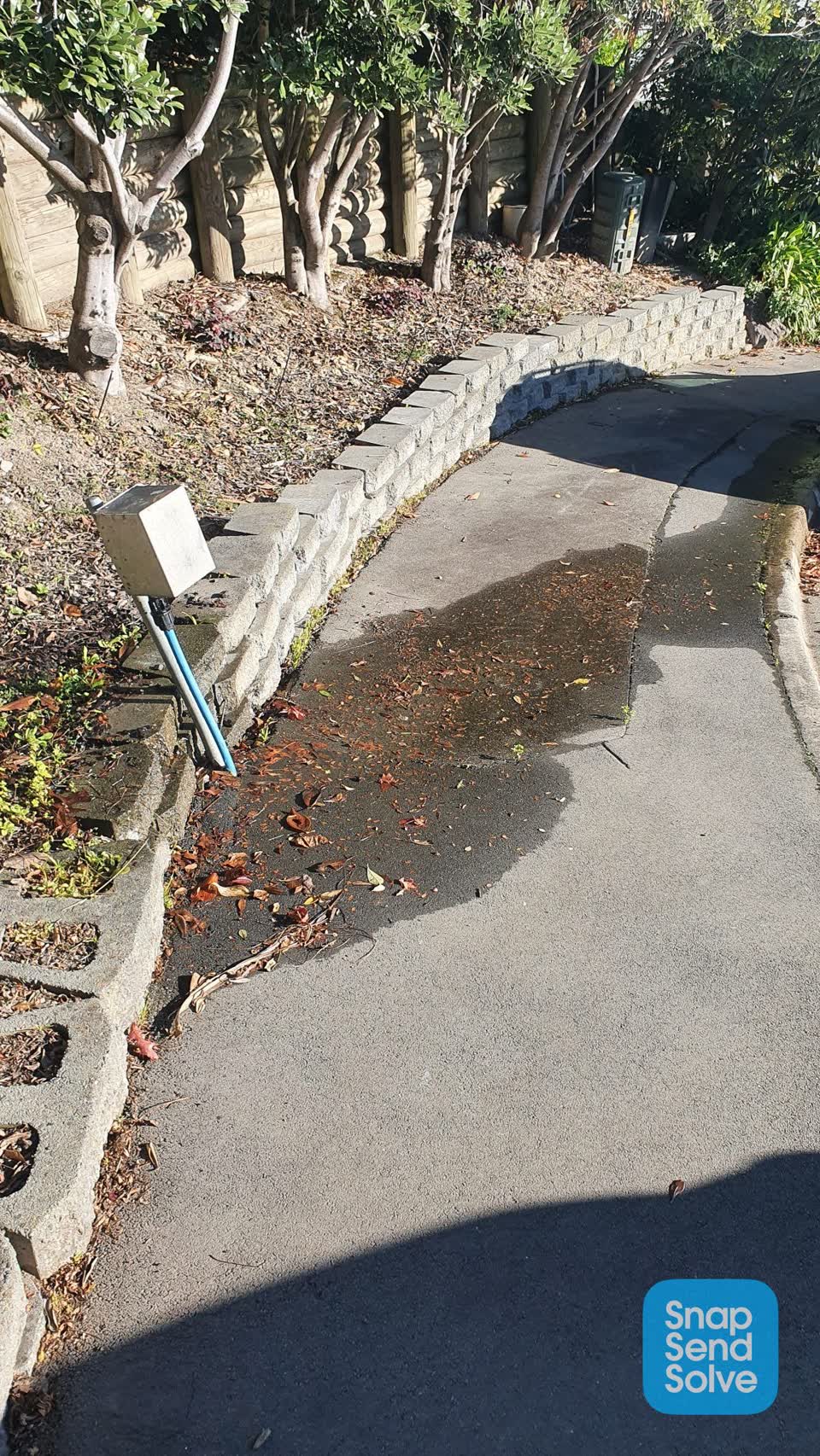 The photograph attached to this water leak report