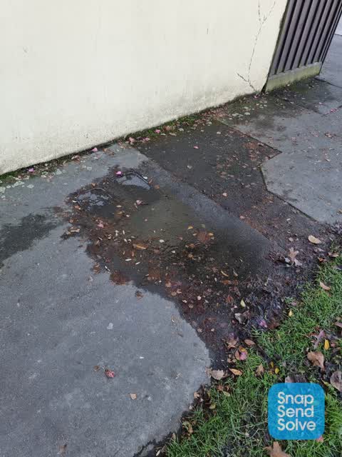 Water Supply, a report photo