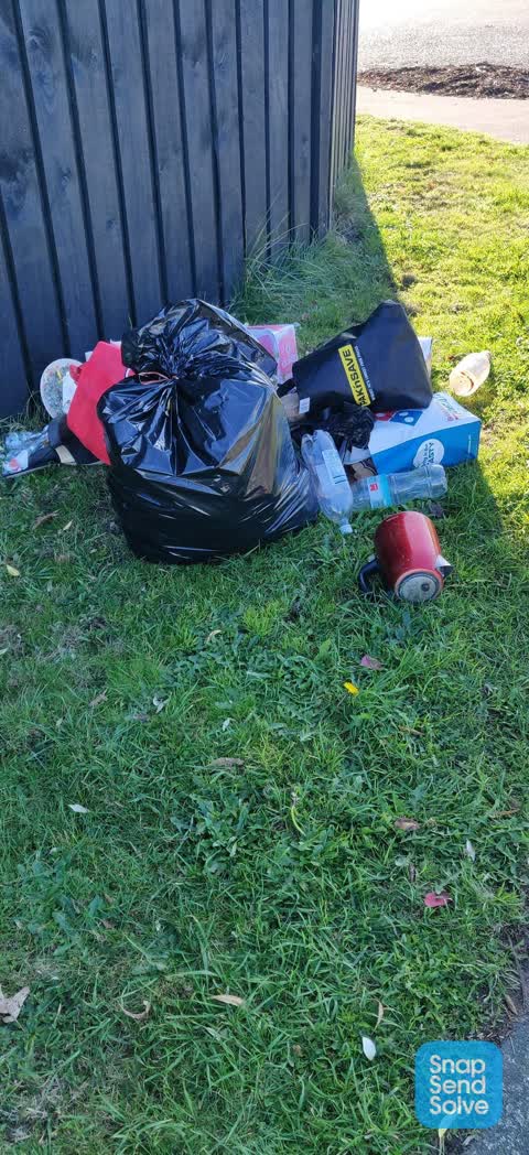 Rubbish/Recycling, a report photo