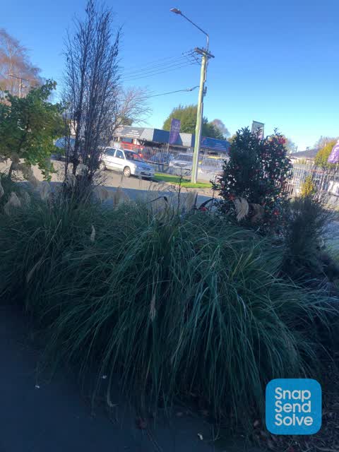 Roading/Streets, a report photo