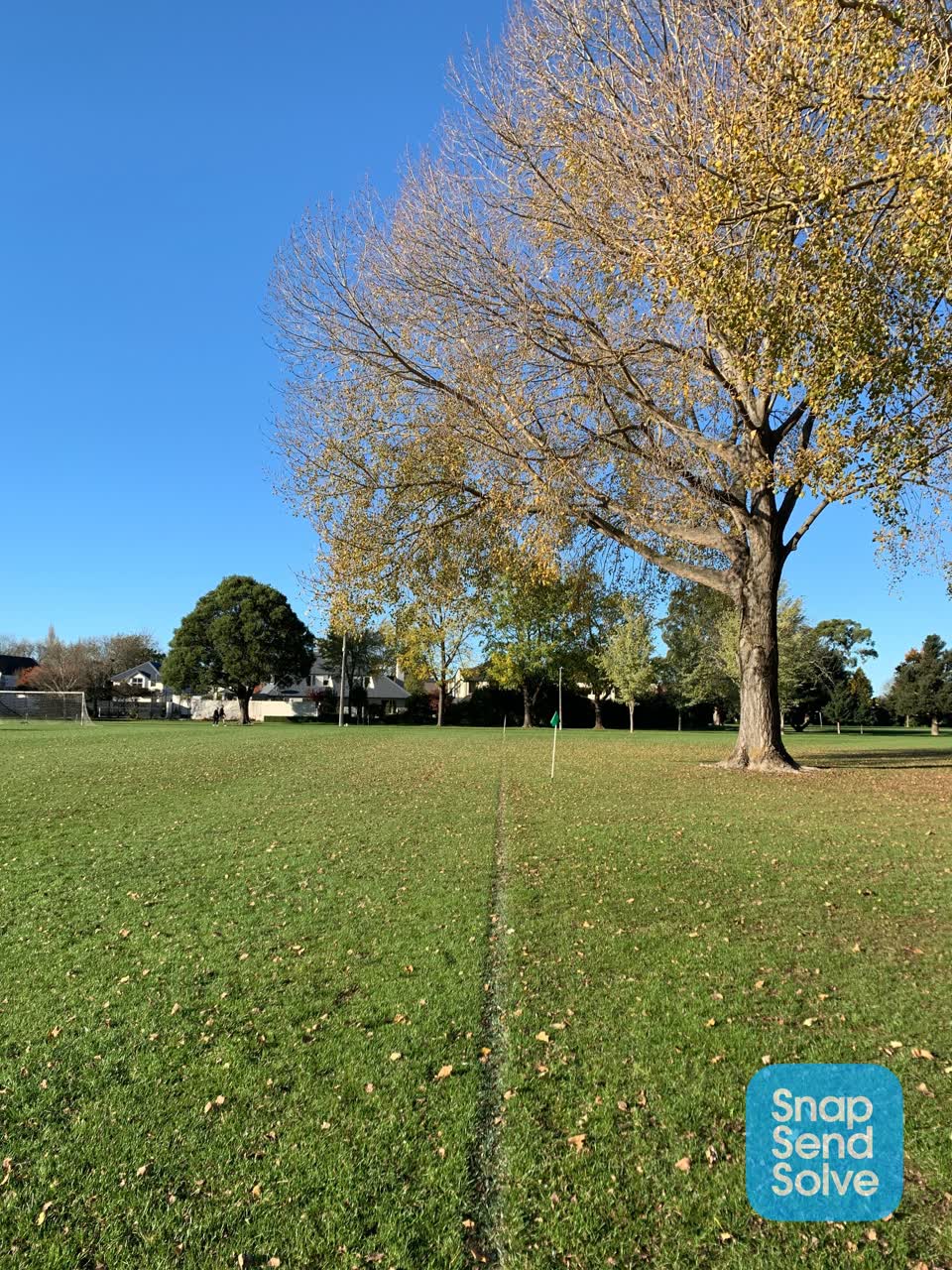 The photograph attached to this parks report