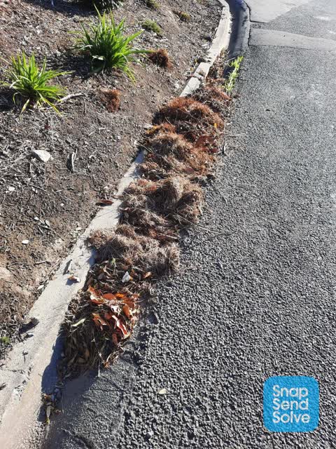 Roading/Streets — a report photo