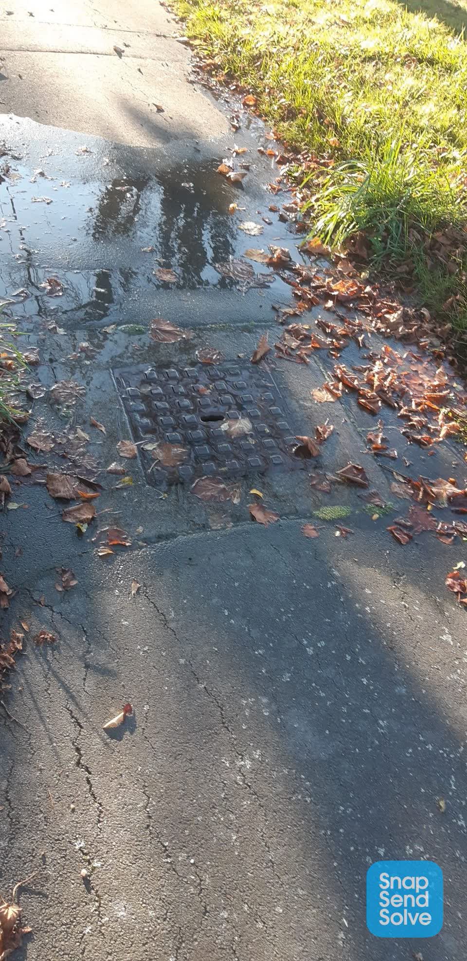 The photograph attached to this water leak report
