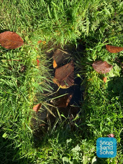 Water Leak, a report photo