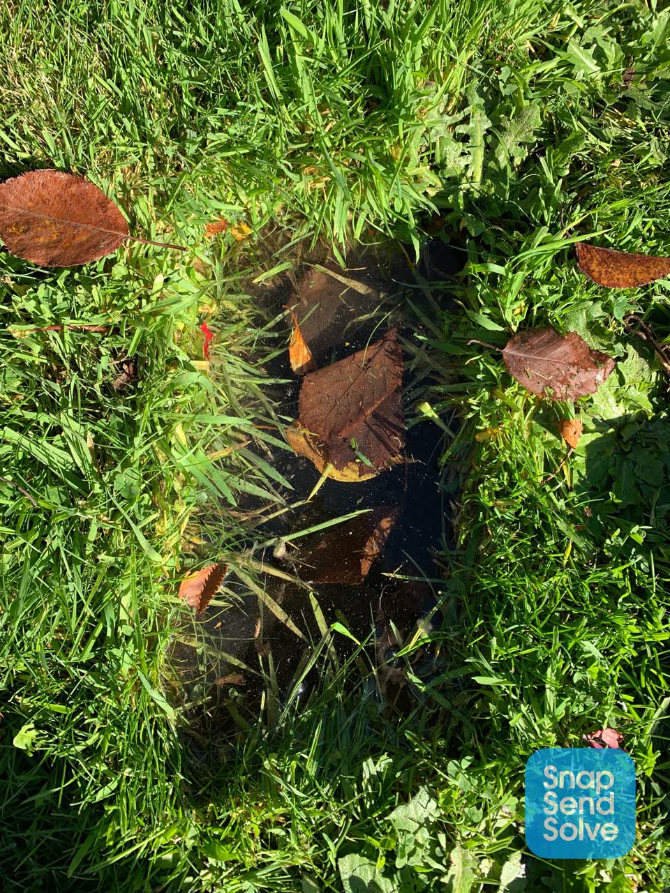 The photograph attached to this water leak report