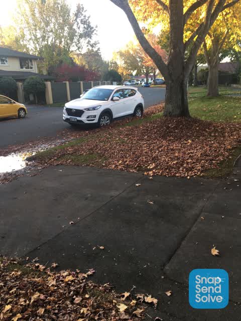 Roading/Streets, a report photo