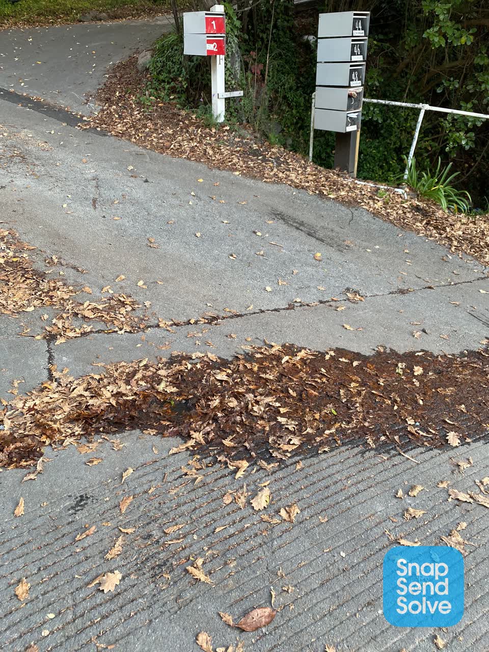 The photograph attached to this water leak report