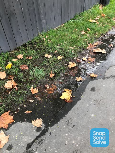 Water Leak, a report photo